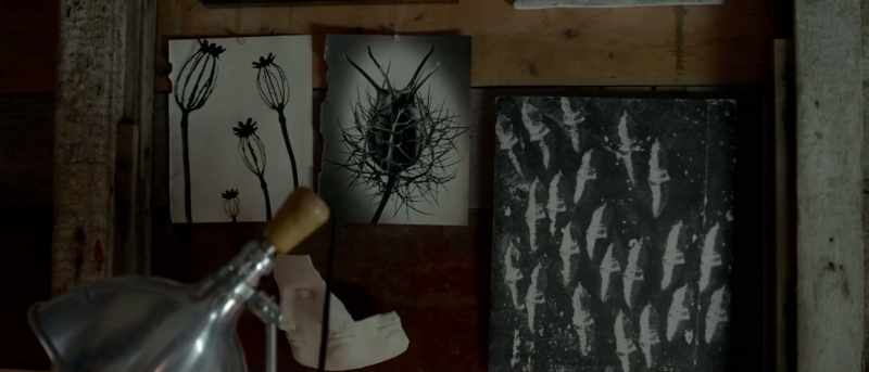 You know, paint houses and making art