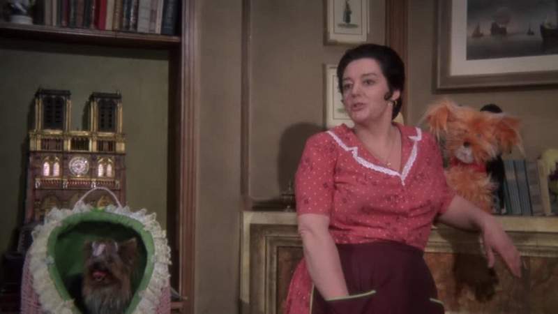 You know senorita you' ve always had a softness