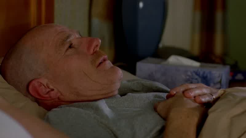 SKYLER: You know, we should do something this weekend