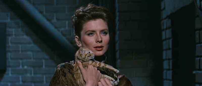You know something, kitty? I wanted that part like hell