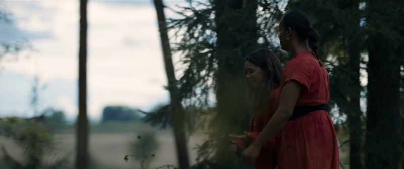 You know they were lovers. It may have gotten there by itself