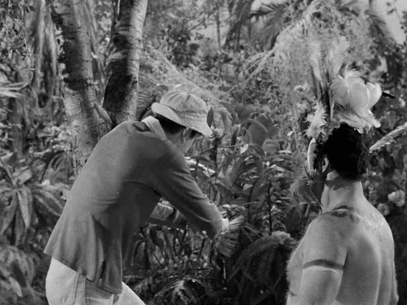 You know, if they were to give out Oscars for headhunters