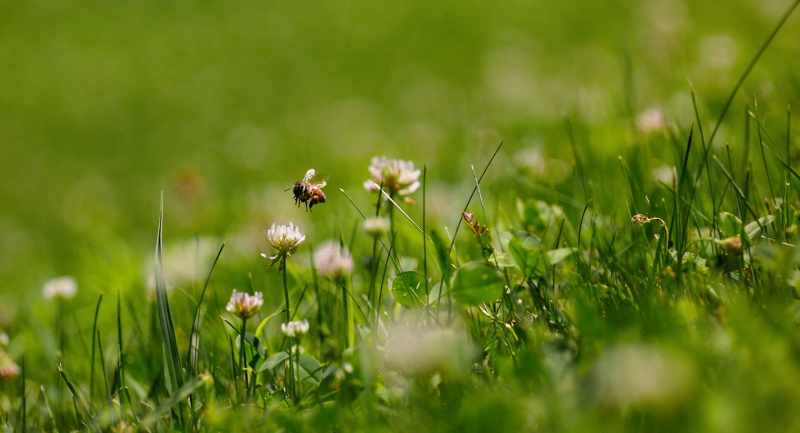 You know, you think, well, herbicides aren't toxic