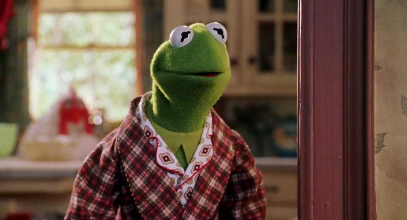 You know what you are Gonzo