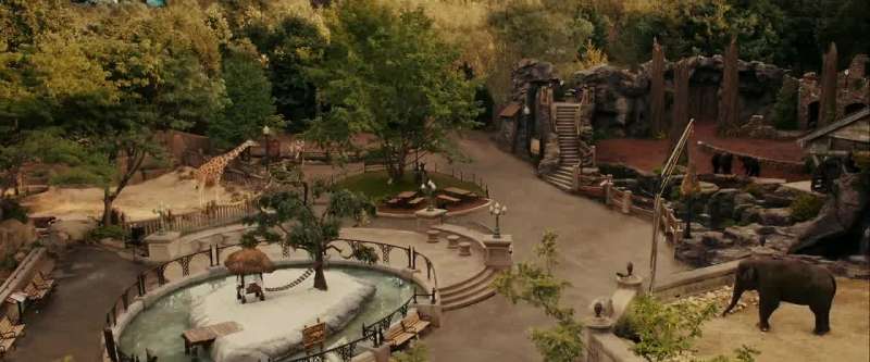 You know what I think we should do Not a zoo animal