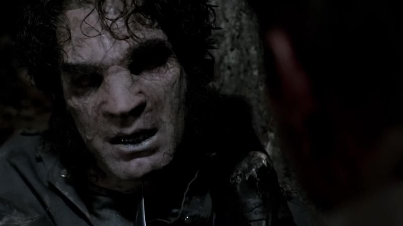 You know what, mutt?