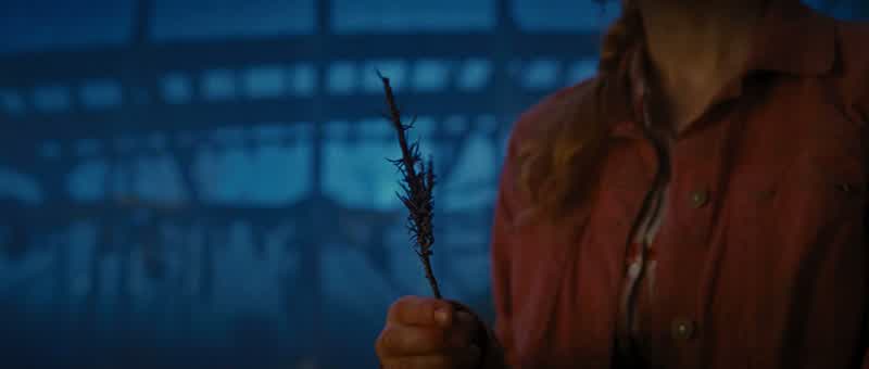 CLARISSE: You know what, Tyson?