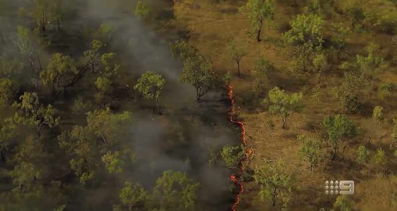 You know, when we look at the fires