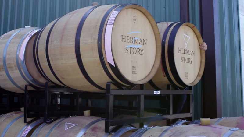 You know wine makes itself. It's fermentation and it's a really simple process