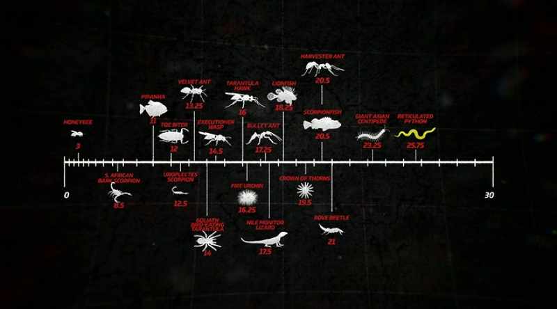You know, with the giant centipede