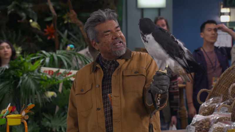 You know, if you can hunt down a pigeon
