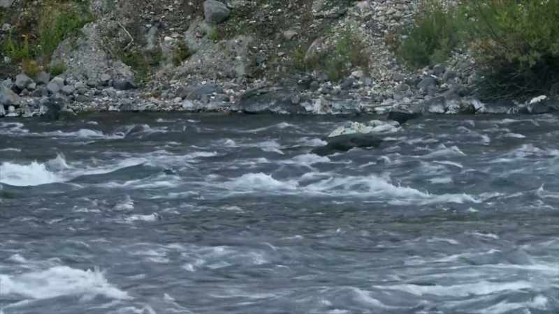 You know, when you follow a river for long enough