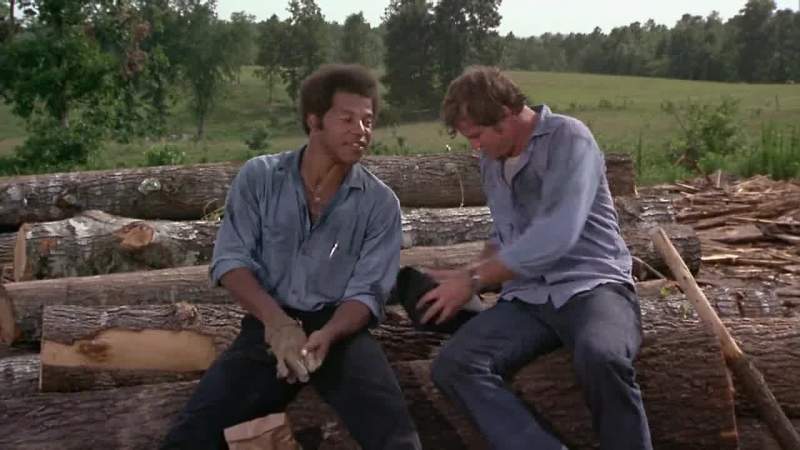 You know if you push that wood any faster