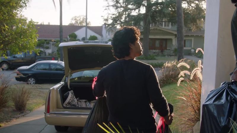 You left the trunk open
