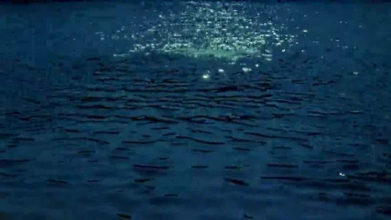 You let him drown