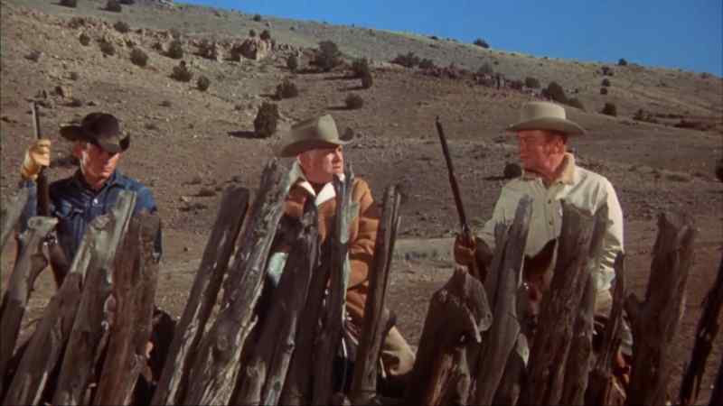 You like the first shot, Mr. Posner?