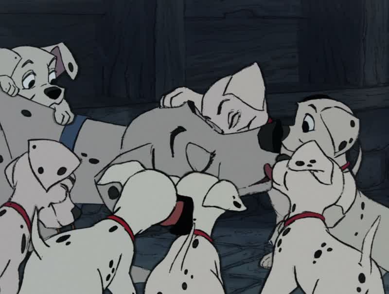 How'd you find us Lucky Patch PepperOh DaddyAnd Rolly you rascal Did you bring me anything to eat