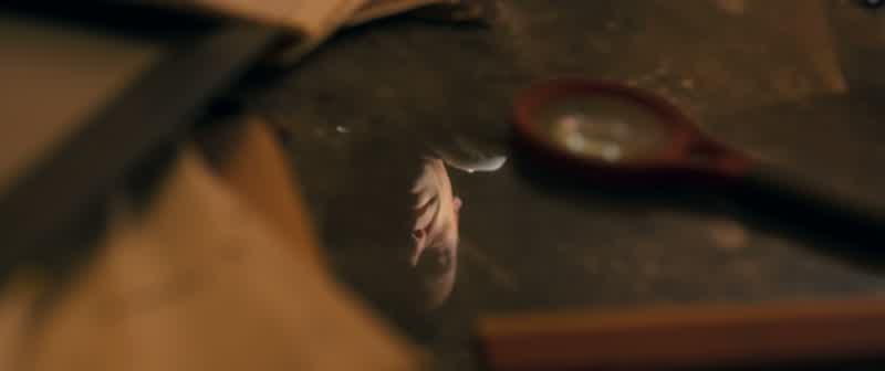 You look scared