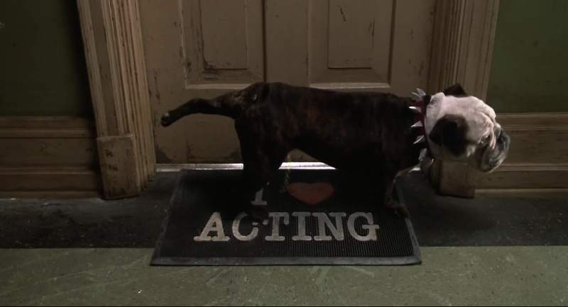 You love acting