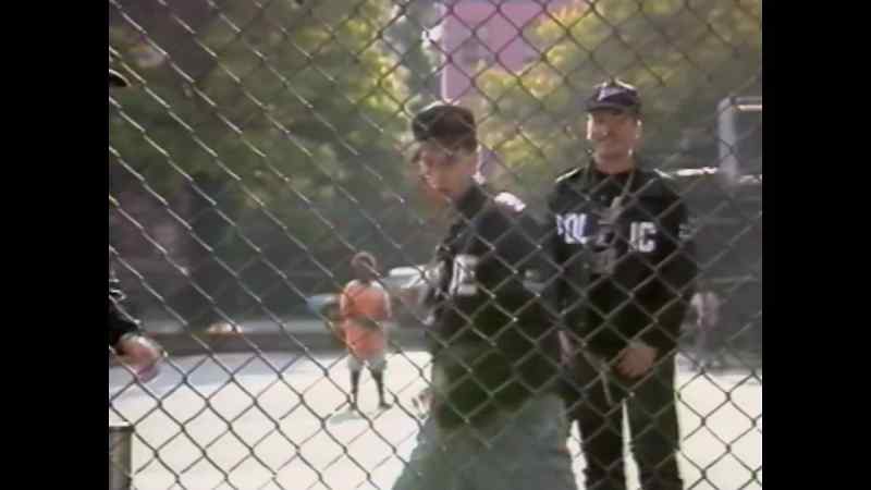 You may remember me from The Tom Green Show