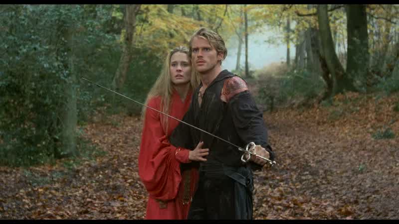 SurrenderYou mean you wish to surrender to meVery well I accept