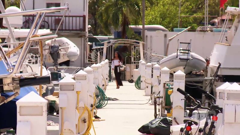 You might want to go look down the dock