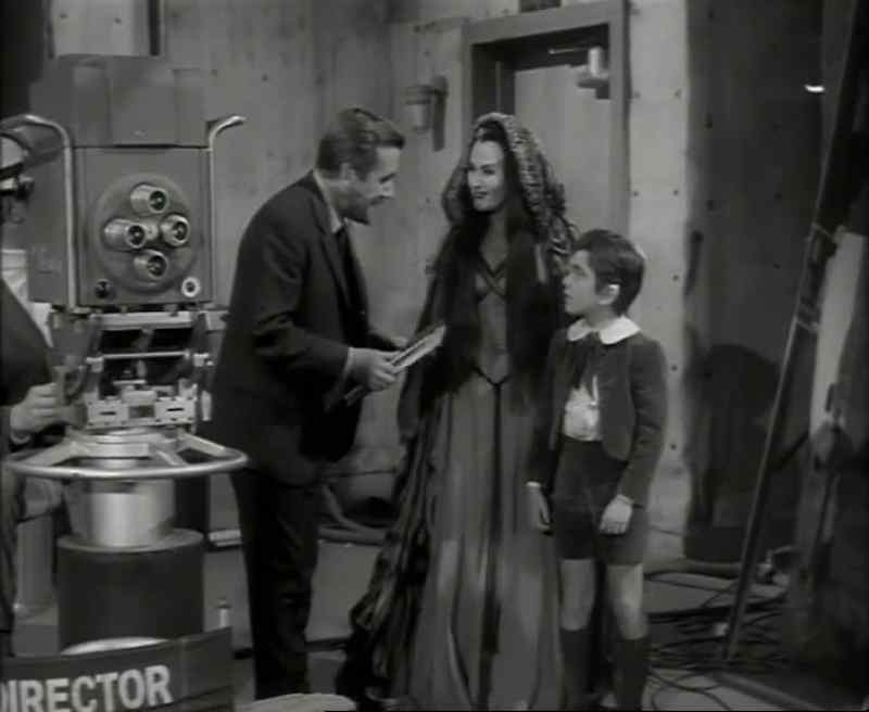 You must be Eddie Munster