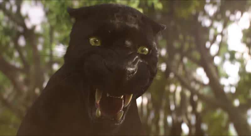 You must be the very worst wolf I've ever seen
