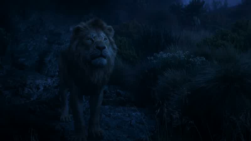 You must remember who you areThe one true king