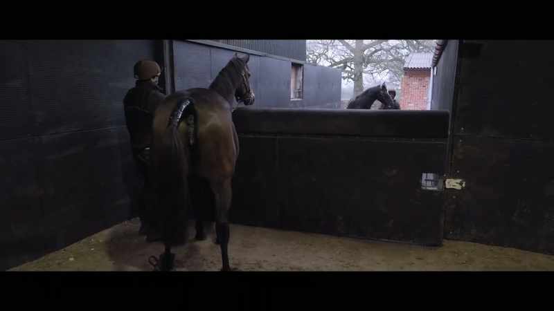 You never absolutely know horses are going to react