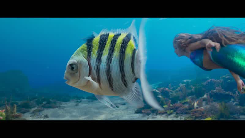 You okay, Flounder?