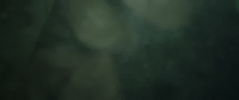 You okay?
