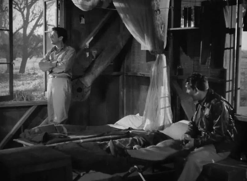 You ought to be tarred and feathered Woody