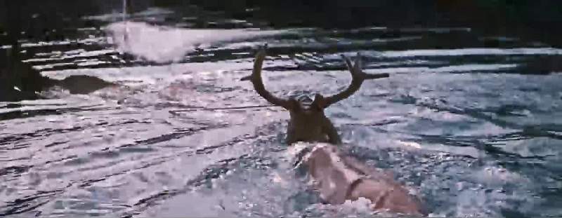 You oughta take a dip in the falls yourself