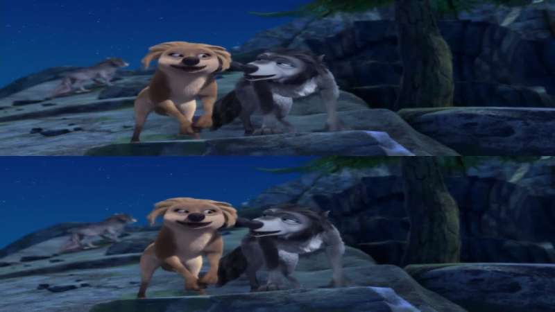 You ready to shake your tail