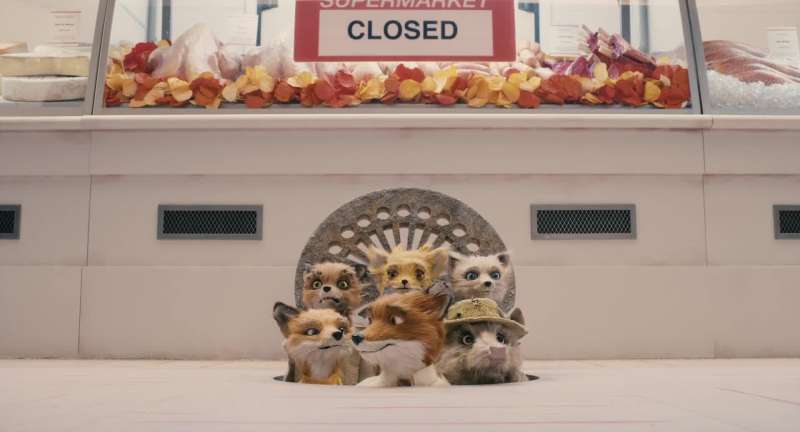 You really are kind of a quote unquote fantastic fox