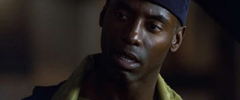 You really beat a suspect unconscious with a dead cat