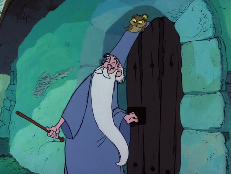 You were really great Merlin But you could have been killedIt was worth it lad if you learned something from itKnowledge and wisdom is the real powerRight you are Wart So stick to your schooling
