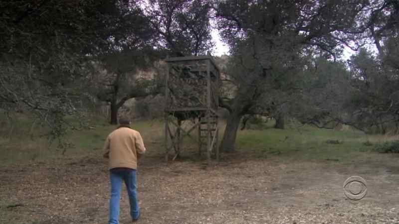 You really out here looking for deer?