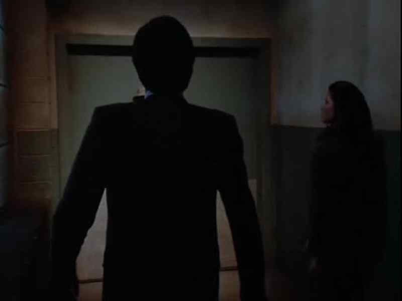 You really think the paintings could be here, Steele?