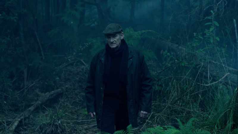 You said whatever we buried up here was harmless