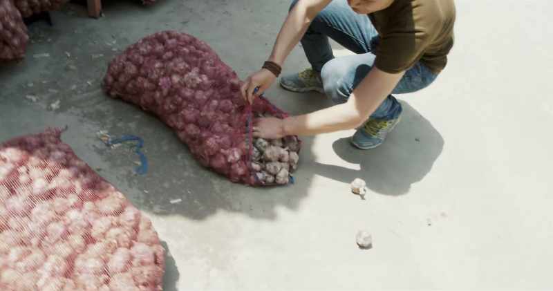 You see this garlic is big size