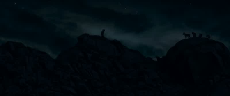 You see that one?
