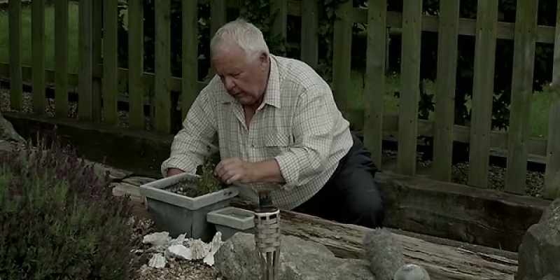 You see me outdoing that geezer? - Yeah, bloody hell! - Muck!