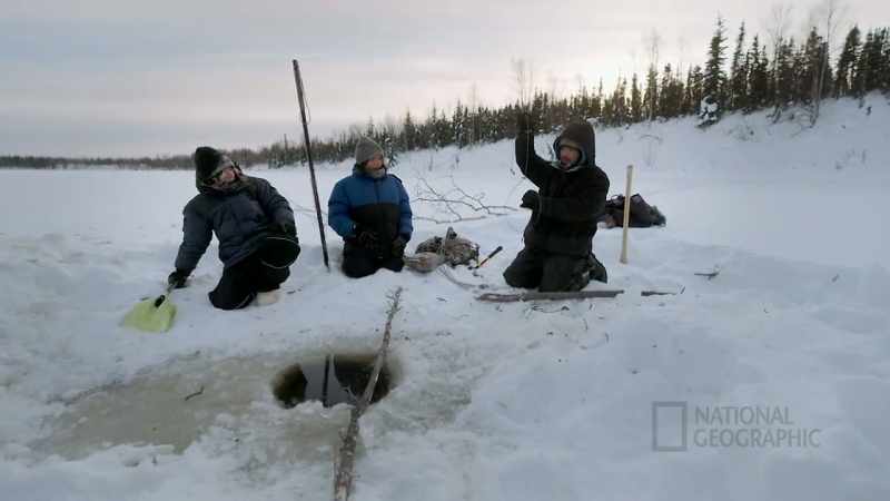 You see, the beaver's head is about this big only