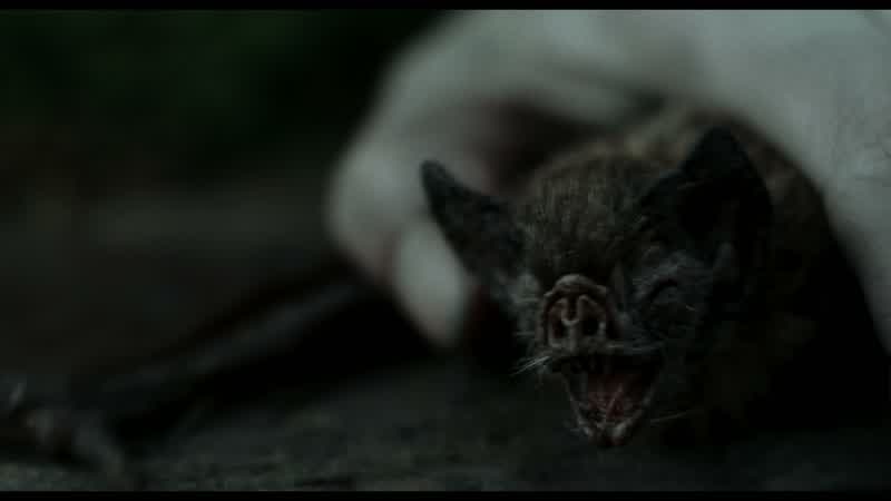 You seek knowledge of the netherworld?