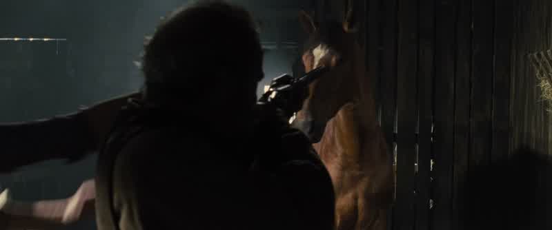 You shoot that horse we have nothing