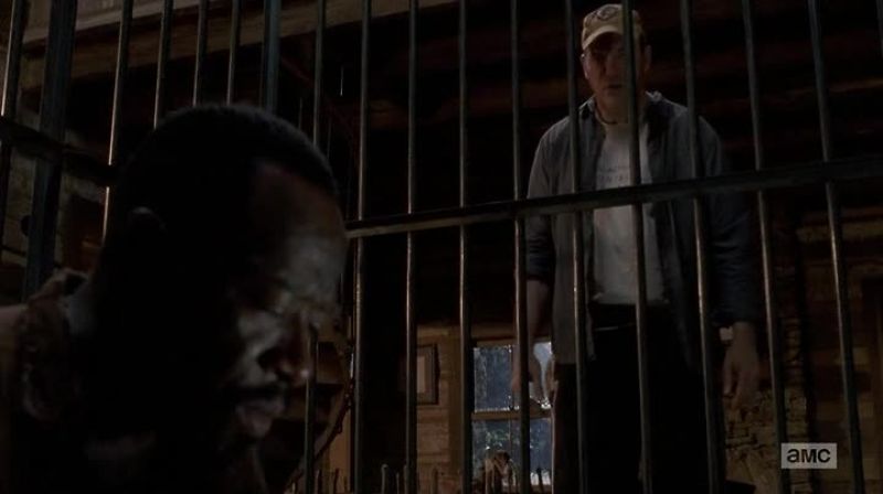 You shot at me. I fed you