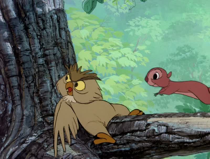 You squirrelly squirrels!