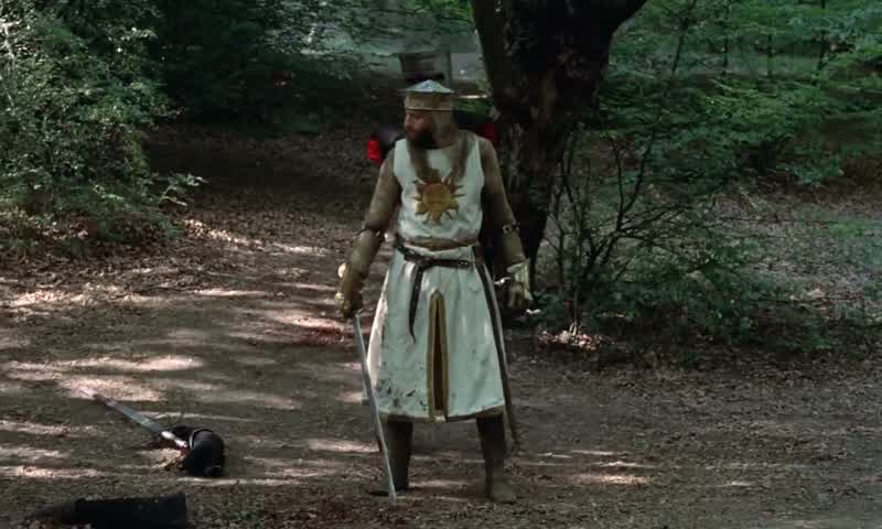 Look you stupid bastard You've got no arms leftYes I have LookJust a flesh wound